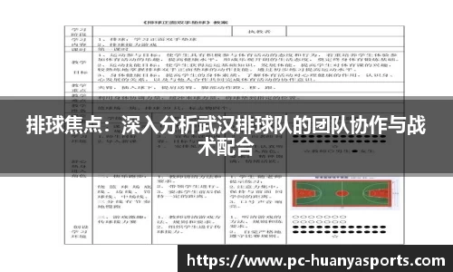 排球焦点：深入分析武汉排球队的团队协作与战术配合